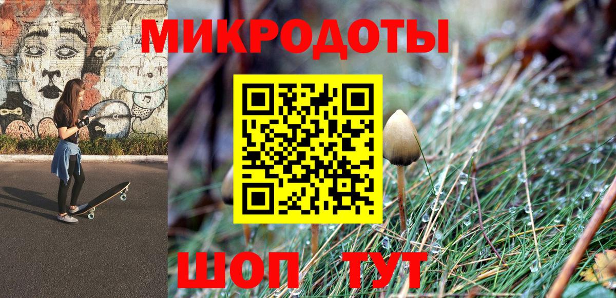 Псилоцибиновые грибы Psilocybe Лосино-Петровский